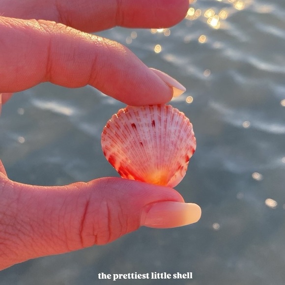 About the seller: - Picture 14 of 15